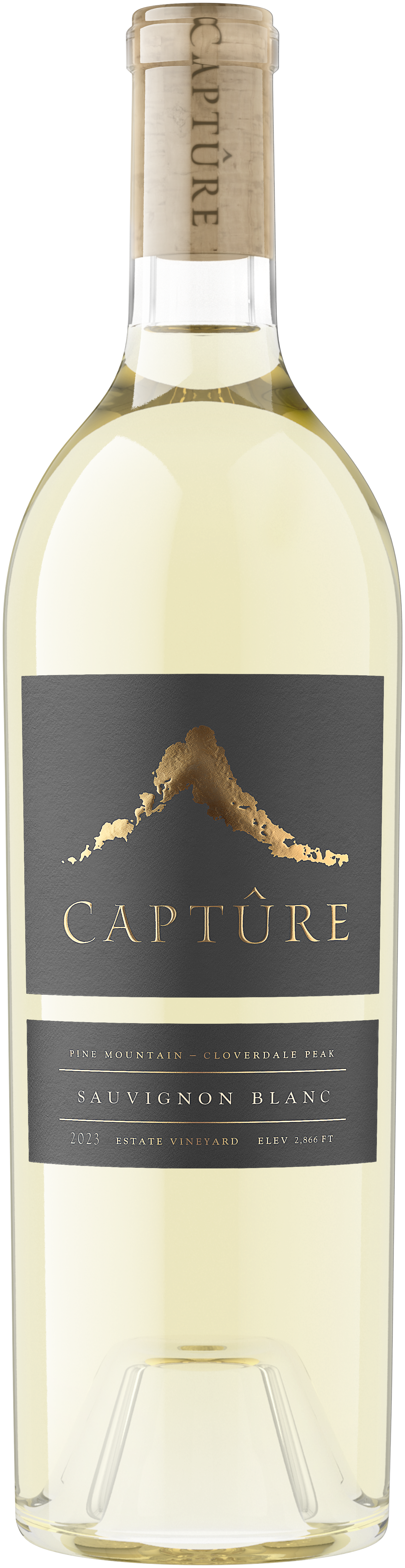 Capture Pine Mountain Sauvignon Blanc 2023  Front Bottle Shot
