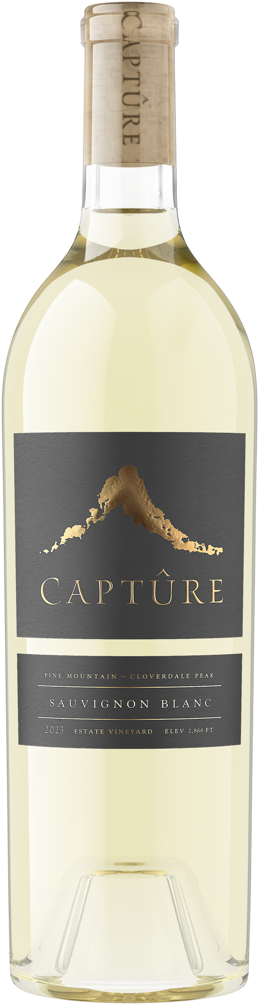 Capture Pine Mountain Sauvignon Blanc 2023  Front Bottle Shot