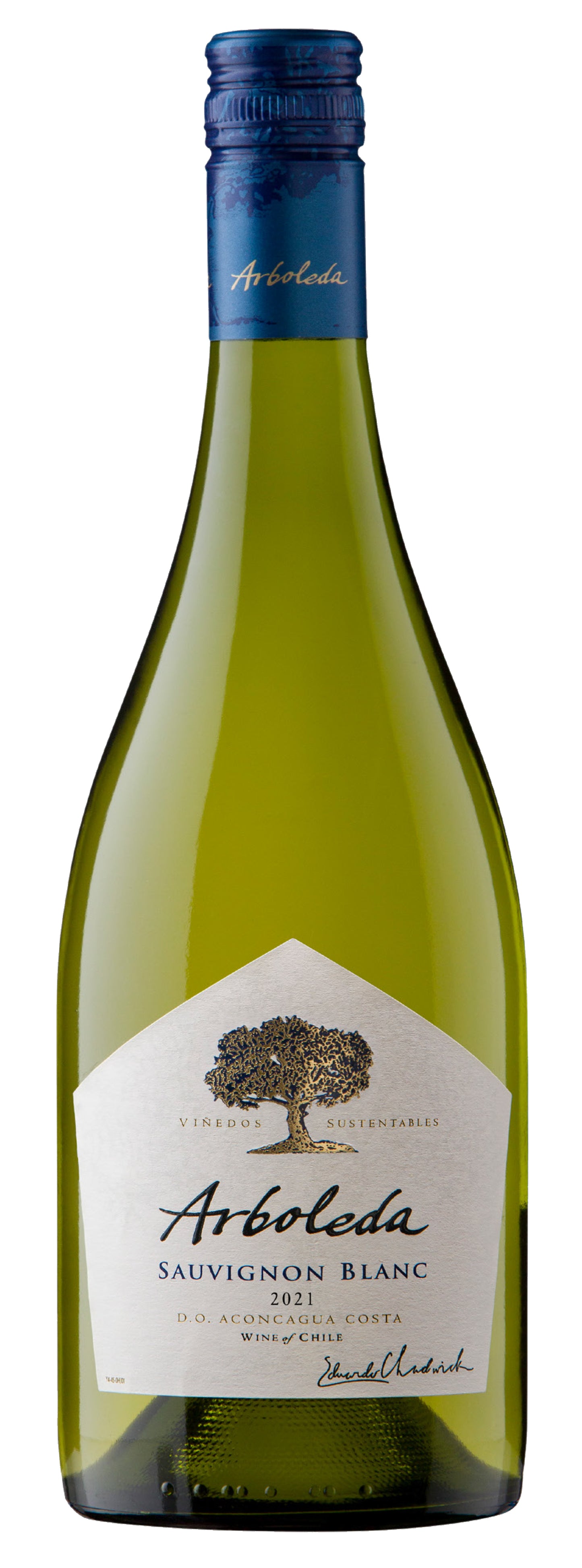 Arboleda Sauvignon Blanc 2021  Front Bottle Shot