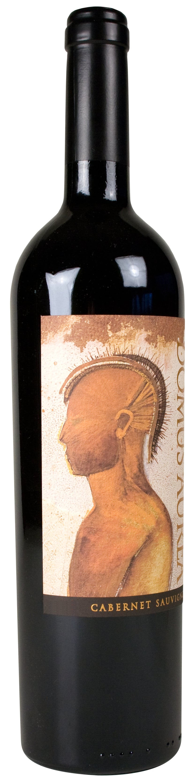 Domus Aurea Cabernet Sauvignon 2021  Front Bottle Shot
