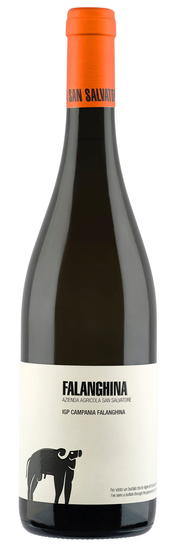 San Salvatore Falanghina 2022  Front Bottle Shot