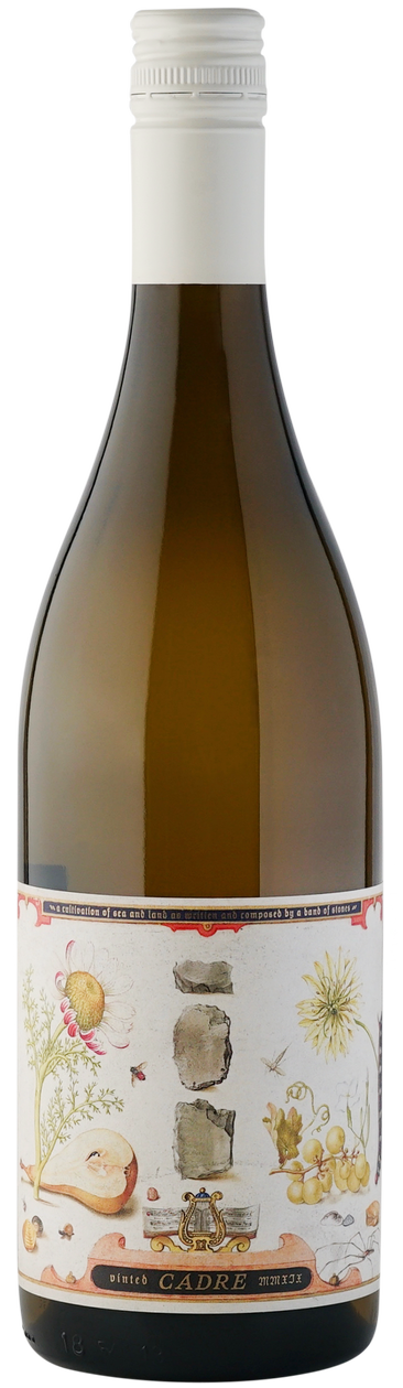 Cadre Band of Stones Gruner Veltliner 2023  Front Bottle Shot