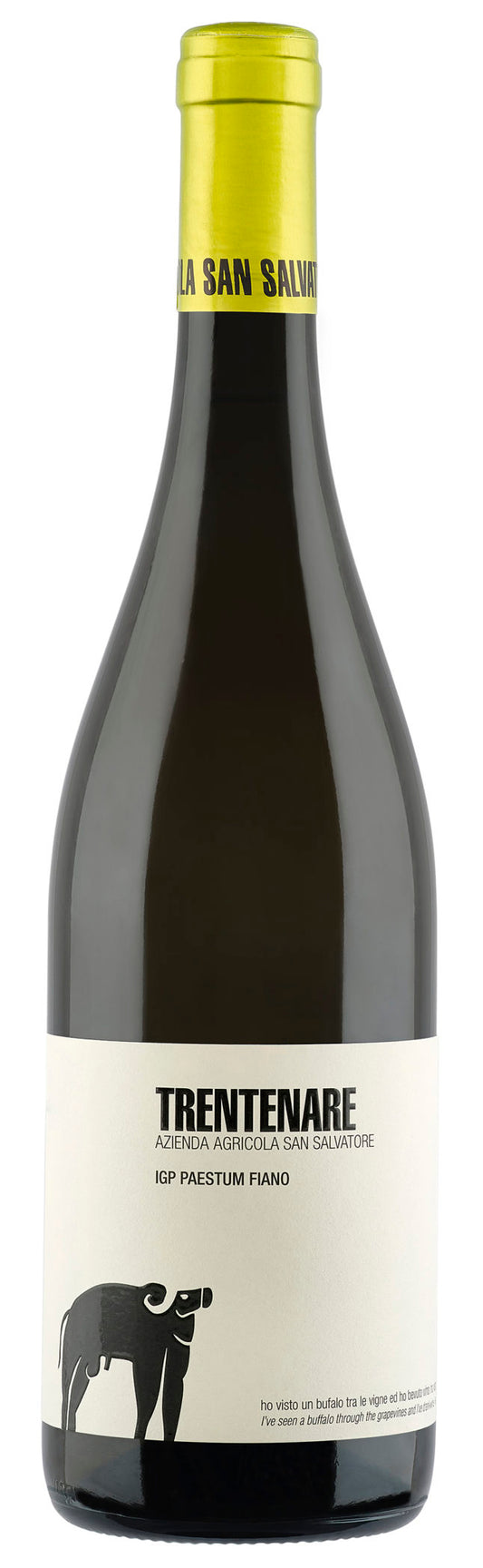 San Salvatore Trentenare Paestum Fiano 2022  Front Bottle Shot