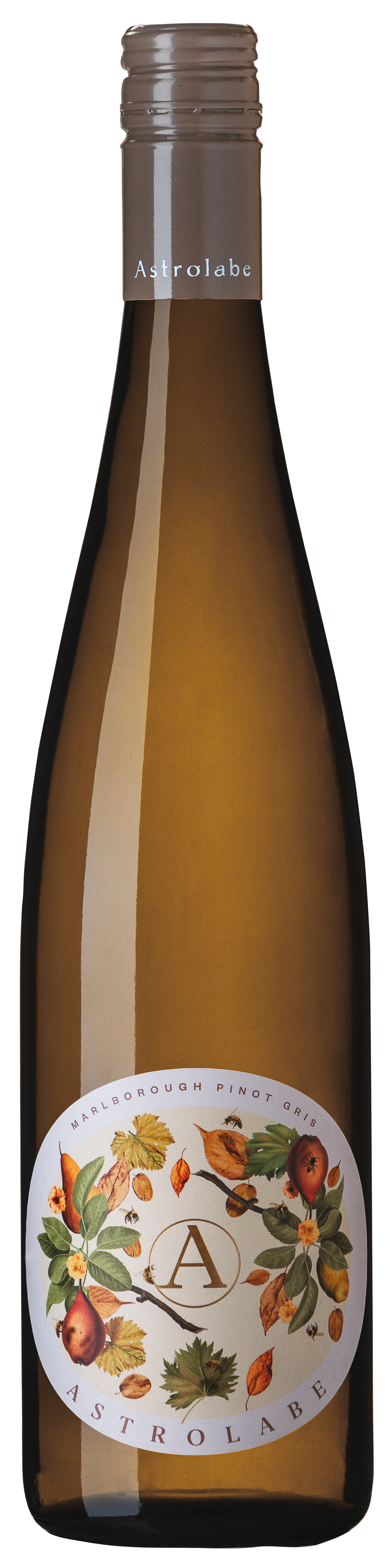 Astrolabe Marlborough Pinot Gris 2023  Front Bottle Shot