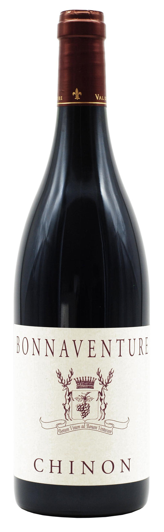 Chateau de Coulaine Chinon Bonnaventure 2019  Front Bottle Shot