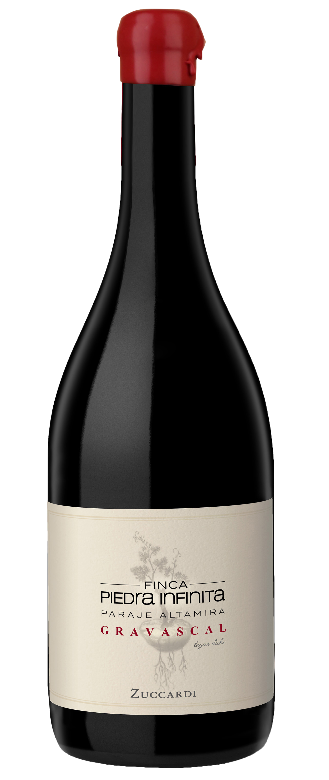 Zuccardi Finca Piedra Infinita Gravascal 2019  Front Bottle Shot