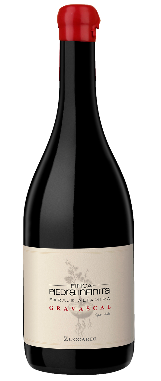 Zuccardi Finca Piedra Infinita Gravascal 2019  Front Bottle Shot