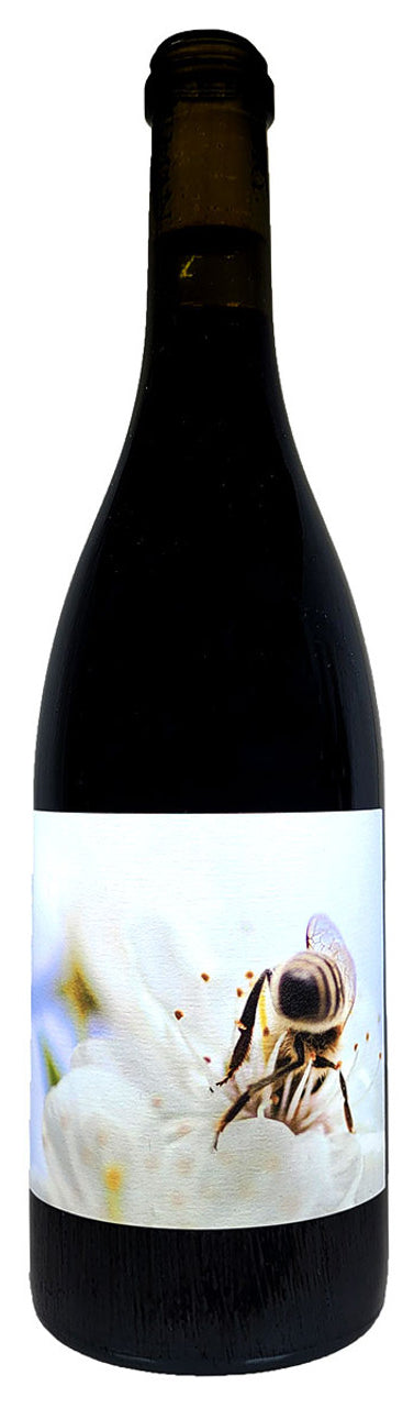 Herman Story Casual Encounters 2020  Front Bottle Shot