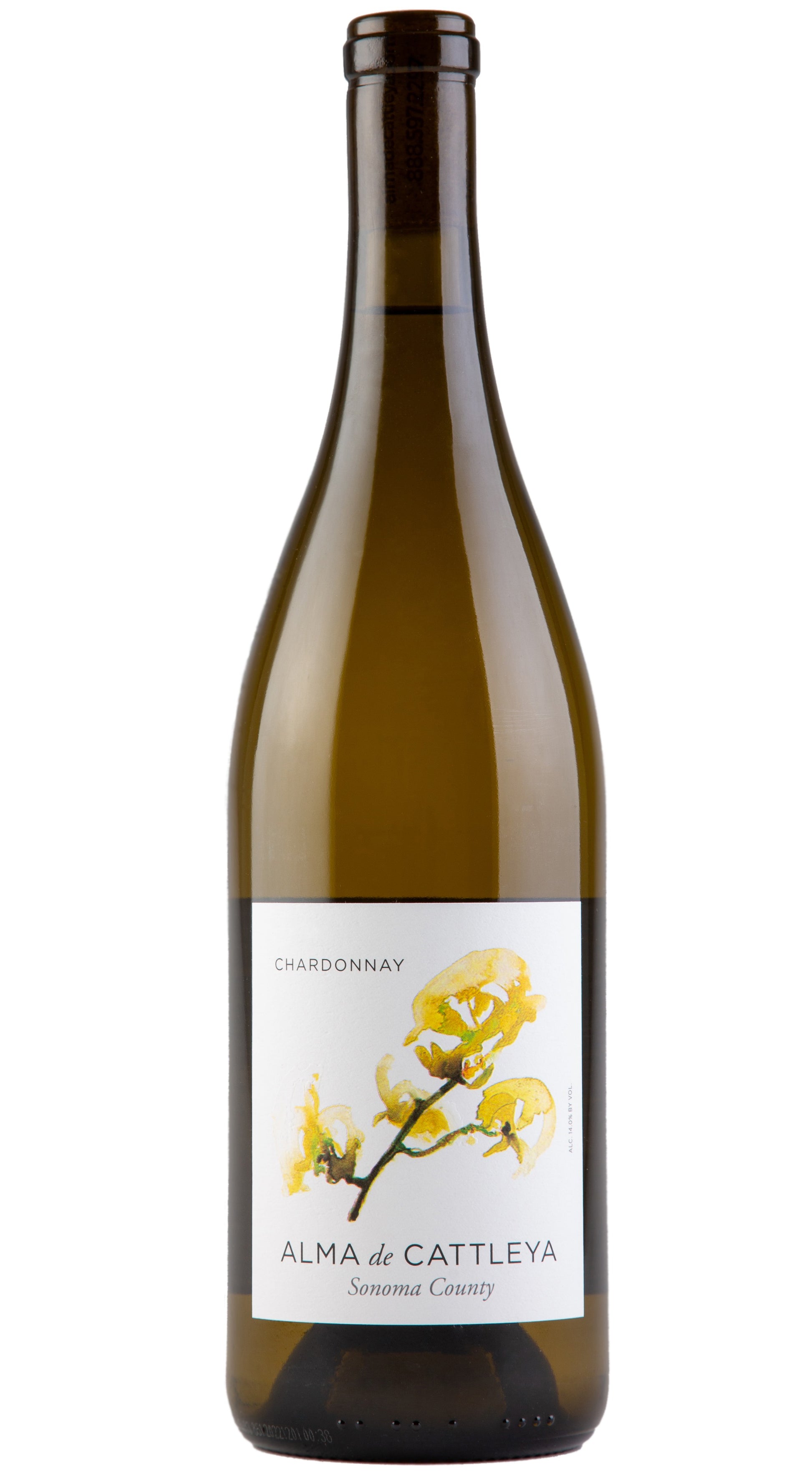 Alma de Cattleya Chardonnay 2023  Front Bottle Shot