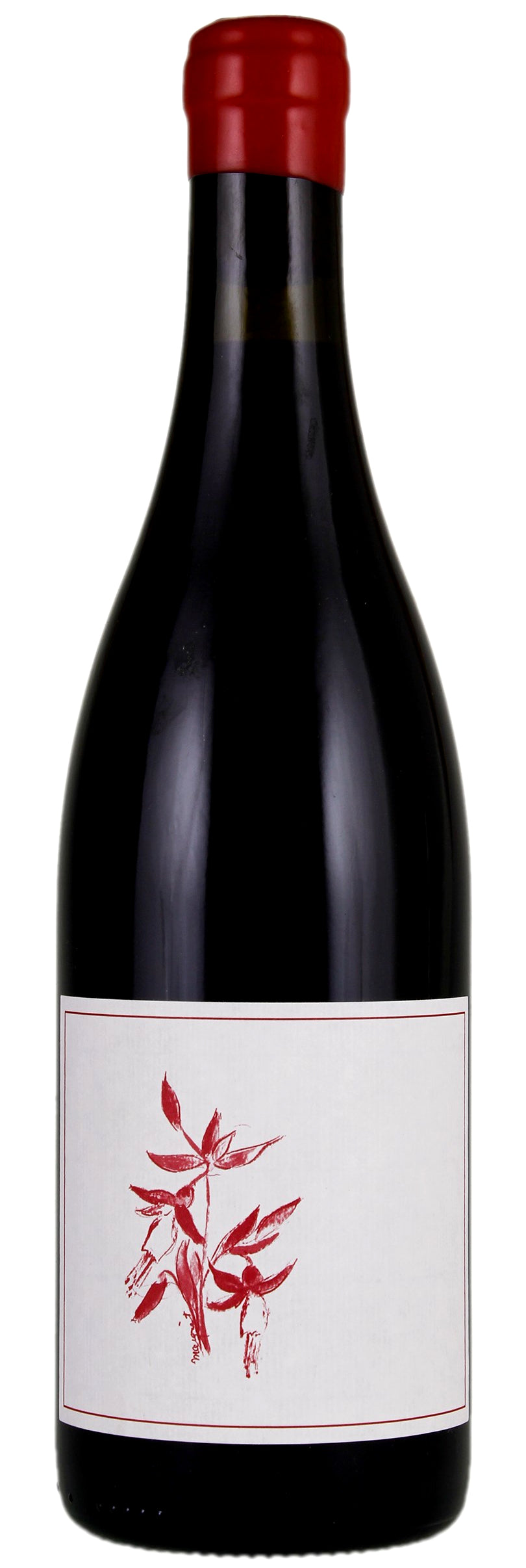 Arnot-Roberts Peter Martin Ray Vineyard Pinot Noir 2023  Front Bottle Shot